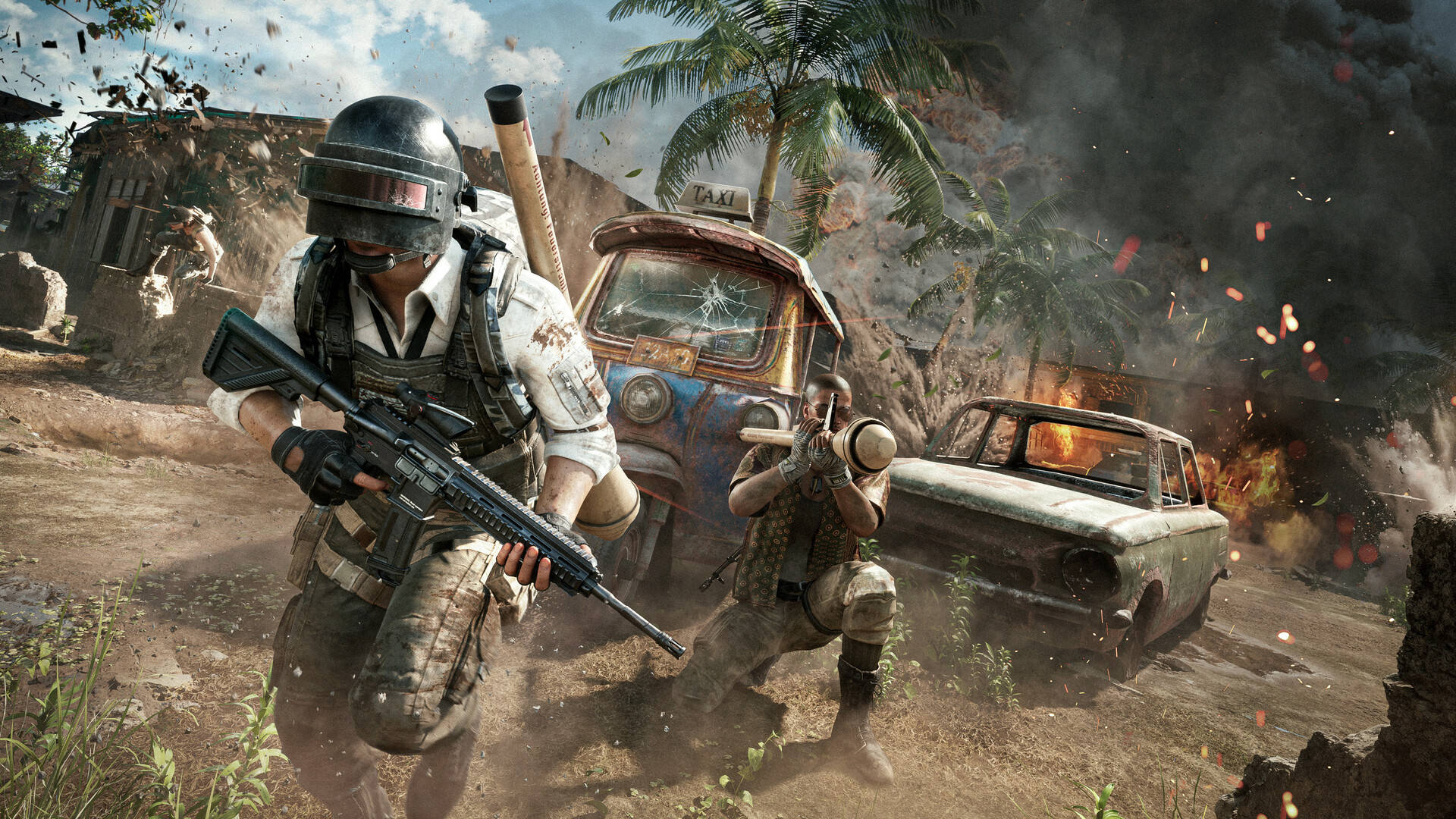 同草种的适 同草种的适